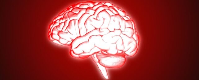 Long Covid Brain Changes Mirror Those of Chronic Fatigue, Brain Scans Reveal