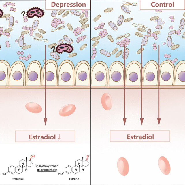 DepressionEnzymeDiagram