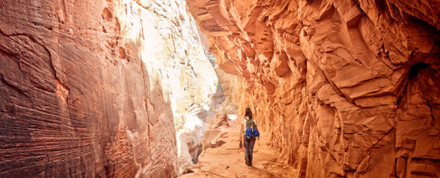A hiker walks through a narrow canyon.