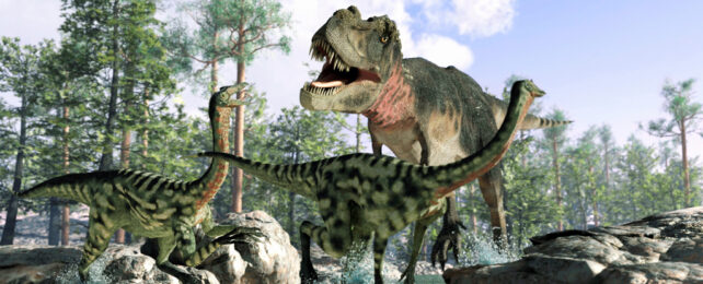 An illustration of a T. rex hunting other dinosaurs.