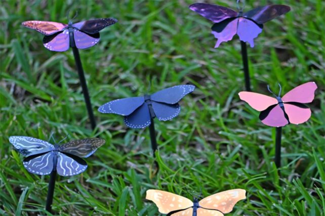 Plasmonic paint on butterflies