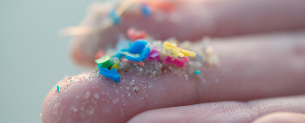 Colourful pieces of plastic on outstretched fingers of a person's open hand.