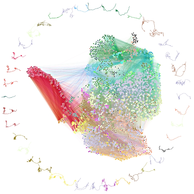 Bir Böcek Beyninin İlk Eksiksiz Haritası Gerçekten Büyüleyici: ScienceAlert