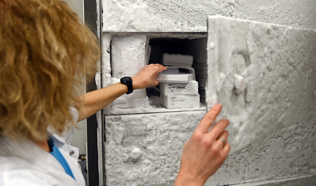 A woman reaches into a industrial refrigerator to retrieve a brain fragment in a box.