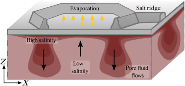 Salt convection