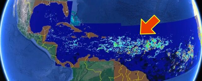 Satellite Image Of Sargassum Bloom