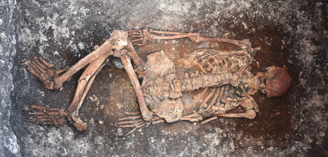 Skeletal remains in a burial pit.