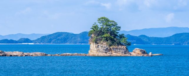 Small mostly low island with taller rocky center and a few trees