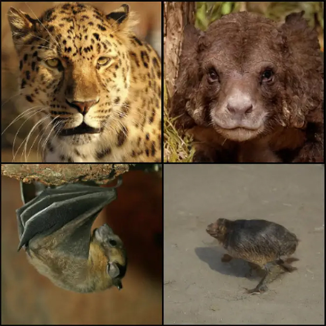 Leopard and a bat on the left images on the left look bear-like and toad like to an AI, on the right