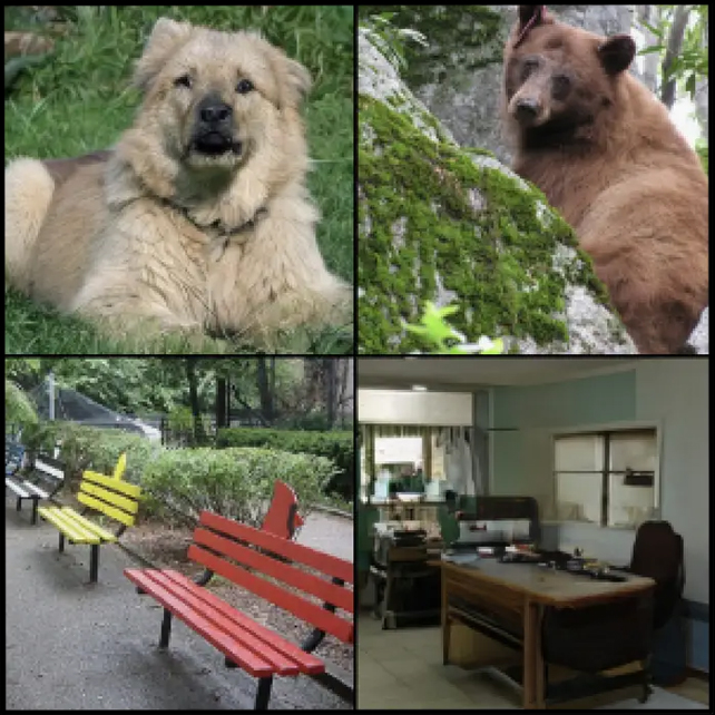 Dog and bench on the left look like a bear and desk to AI, on the right