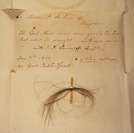 Uma mecha autêntica do cabelo de Beethoven, afixada em uma carta datada de 1827 e fotografada em 2018 pelo membro da American Beethoven Society, Kevin Brown. (Créditos: Begg et al., Current Biology, 2023)