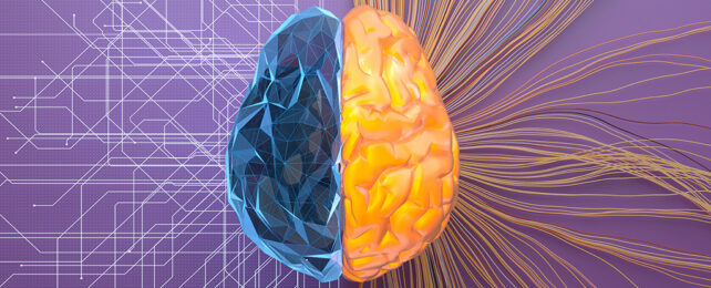 brain with a digital textured blue and a organic yellow hemisphere on a purple background