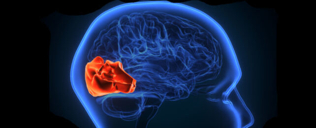There's Something Different in The Brains of Teens With Sleep Apnea