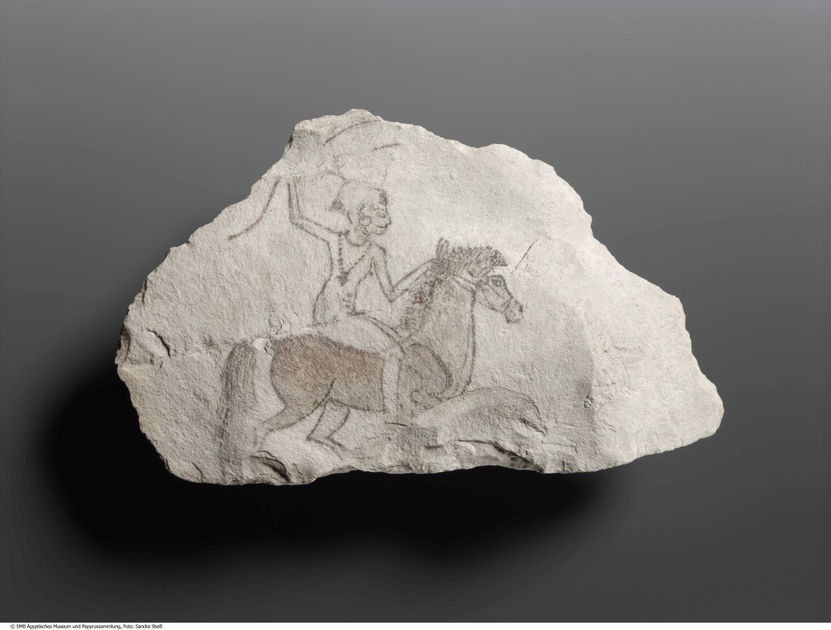 Researchers Have Found The Earliest Evidence of Horseback Riding Yet
