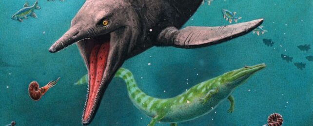 Oldest Ichthyosaur Known to Science Discovered on Remote Arctic Island