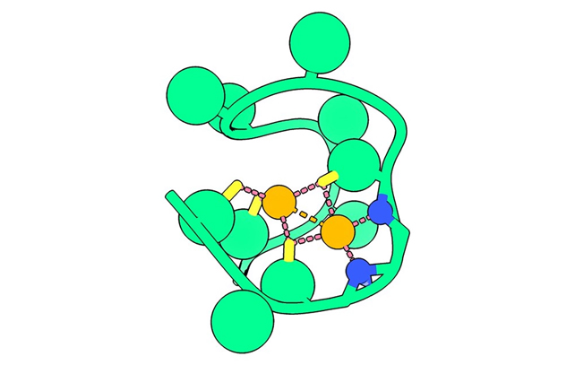 a line of green circles representing amino acids in a peptide holding two orange nickel atoms