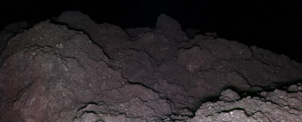 اكتشف العلماء مكونًا من الحمض النووي الريبي مدفونًا في غبار كويكب: ScienceAlert