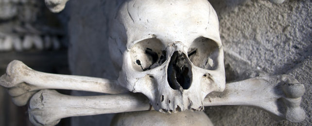skull with cross femurs below