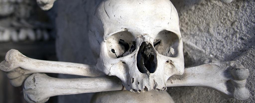 Genes That Helped Us Survive Black Death Continue to Influence Our Mortality Today