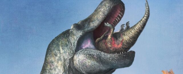 Tyrannosaurus Rex Had Lips Like a Lizard, Scientists Reveal