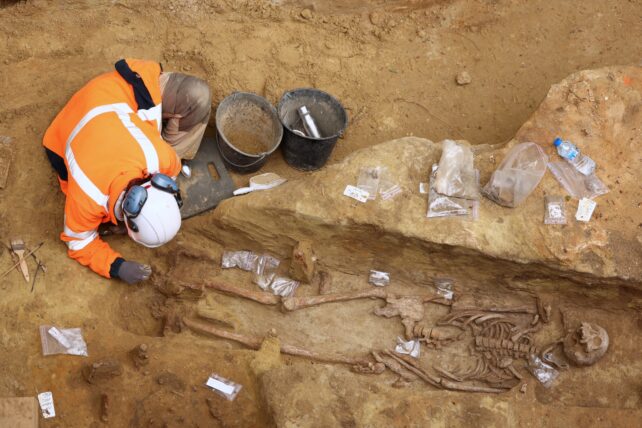 A skeleton in a grave next to a person squatting in a high vis outfit.