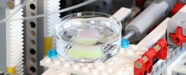 Scientists Built a Machine From Lego That Can Grow Human Skin
