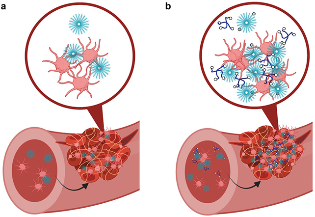 Blood clot diagram