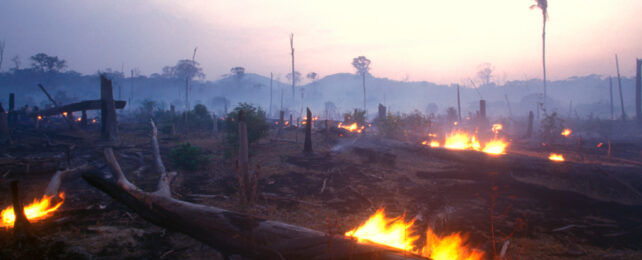 Fire on Earth at dusk