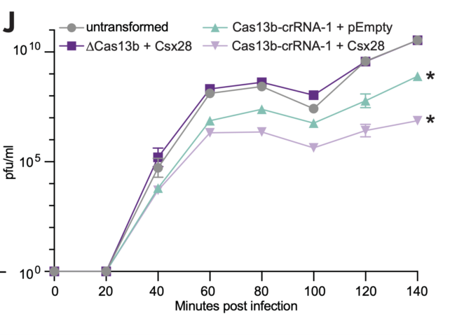 Graph showing four experimental treatments.