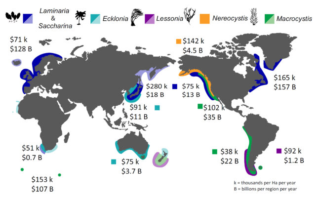 Map showing distribution of different kelp types and estimates of value.