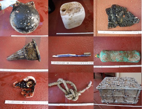 Collage of images showing types of plastic debris found in the Great Pacific Garbage Patch.