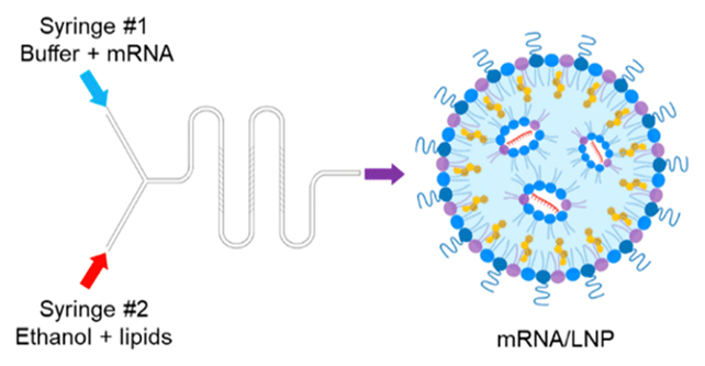 Nanoparticle diagram