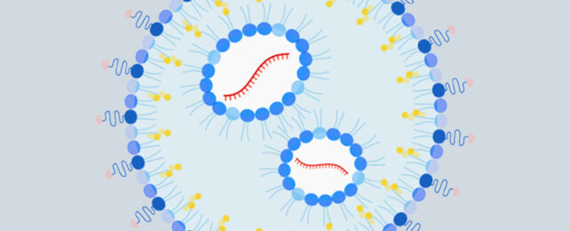 Nanoparticle illustration