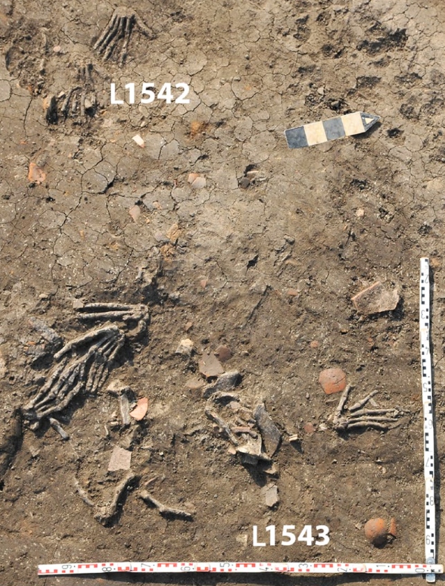 An image showing 11 right hands in the pits L1542 and L1543 in front of the Hyksos palace. 