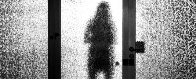 A shadowy presence behind a glass door.