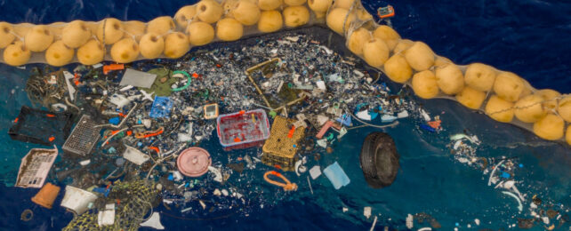 Plastic being captured from the ocean by a net