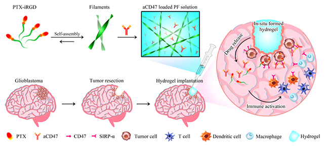 Tumour diagram