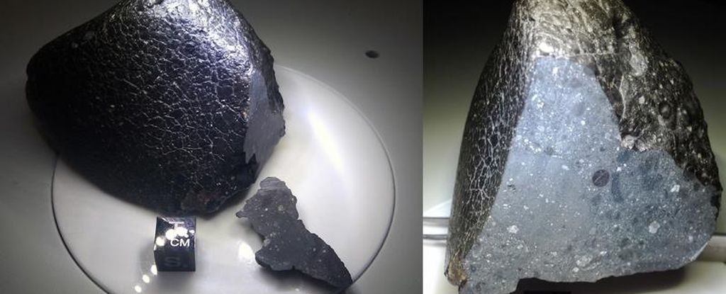 Los humanos están borrando miles de millones de años de datos de meteoritos antiguos: ScienceAlert