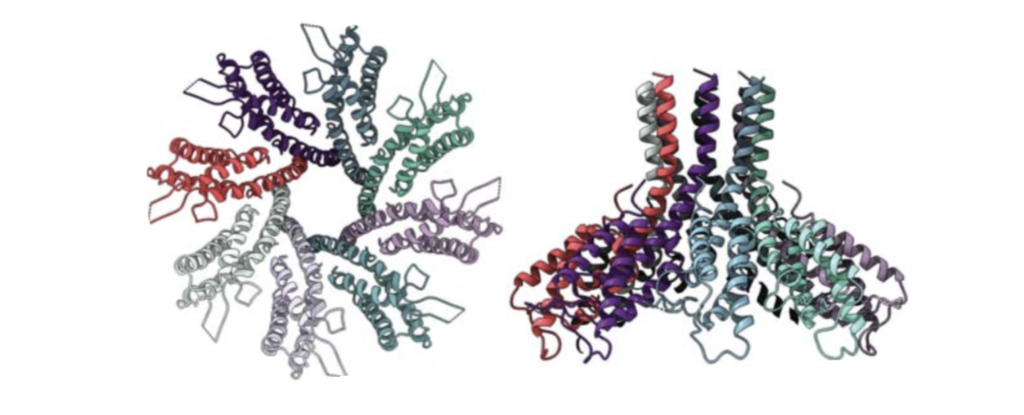 CRISPR protege a las bacterias de los virus invasores de una manera completamente inesperada: Heaven32