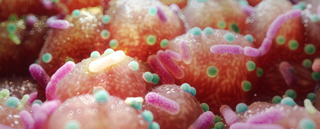 Artist's impression of microbes on the gut lining
