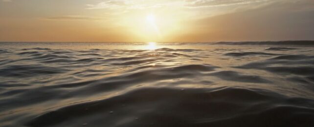 We May Have Just Detected an Elusive Ocean World Orbiting a Sun-Like Star