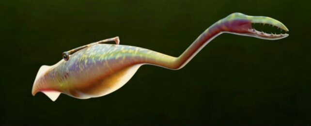70-Year-Old Mystery Over Bizarre 'Tully Monster' May Finally Have Been Solved