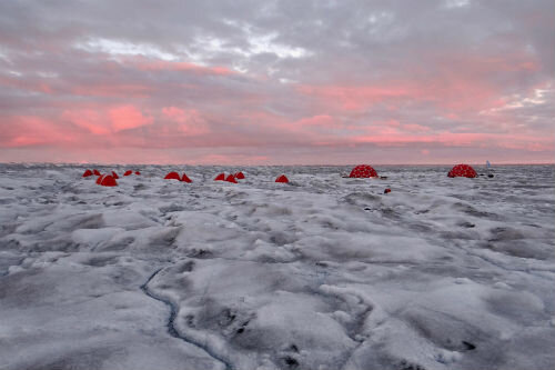 algas en el hielo