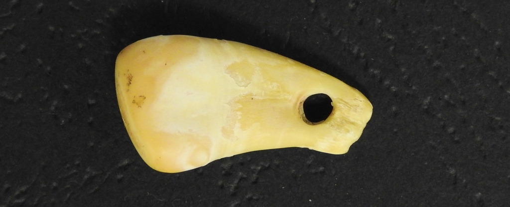 ADN de mujer antigua recuperado de colgante de collar de 20.000 años de antigüedad : Heaven32