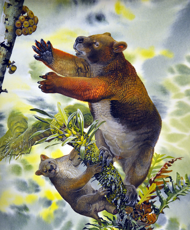 An illustration of a Nimbadon and its young in a tree.