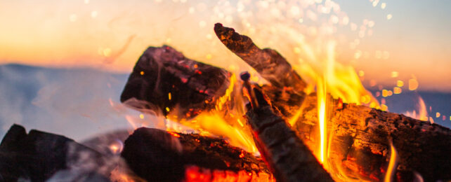 An extreme close-up of logs on fire in a campfire.