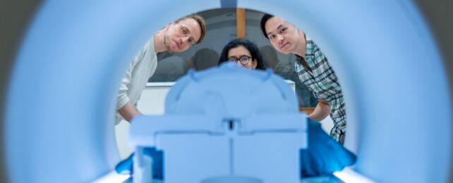 AI Experiment Decodes Brain Scans to Reveal Things People Are Thinking