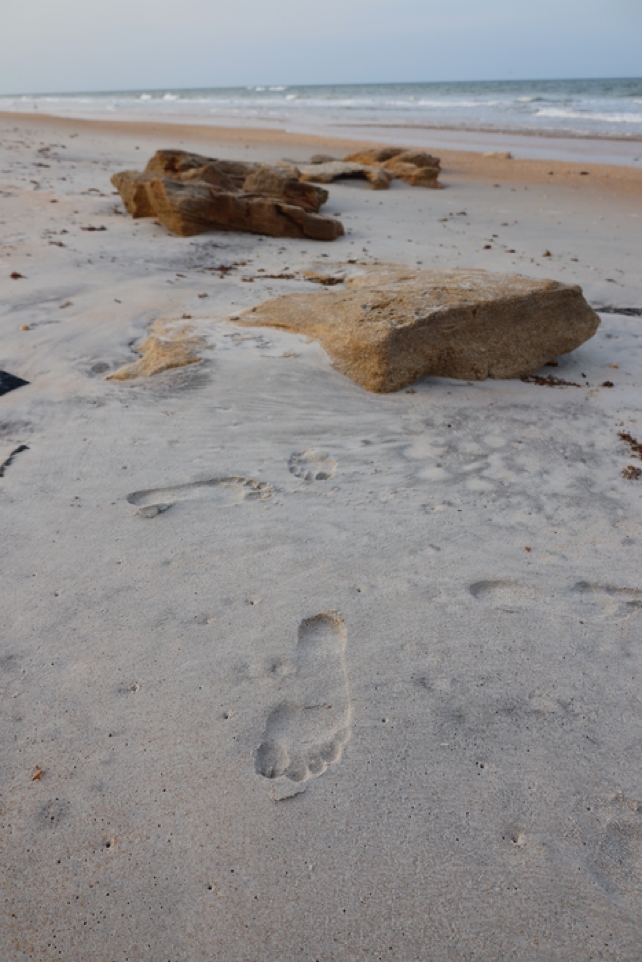 Footprint On Sandy Beach