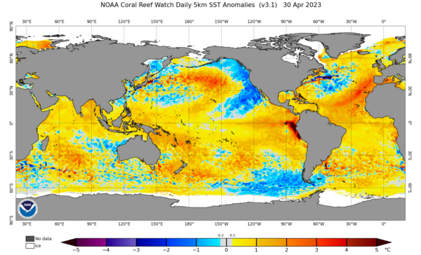 Temperaturas oceánicas