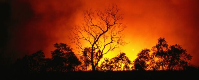 Billions to Face Potentially Deadly Heat by 2100, Scientists Warn
